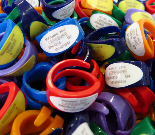 Various wear period colors of the ring dosimeter