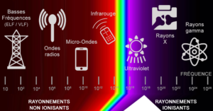 Dosimétrie des rayonnements ionisants